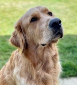 70ffaaa791057816f463ed139aaea3e4_152x169