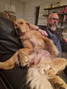 71083264f6a357b68d3320540e40acaf_138x184_fill