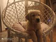 710cdb577730f9981817b494118045ba_183