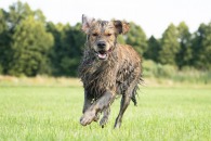 7112ffa82744325d305592b73c3de424_195