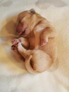 71357bf52df5845db348da667a6b2141_138x184_fill