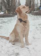 7178c72d56d80925ec6c173ef6d76e85_138x187