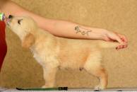 717eafbb003e7d749307354a2c94cc58_194