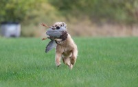 71b507851d5a862ac981746ea1c86068_201