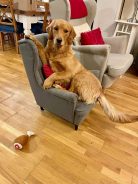 71f27ea4f8679aaa4a1f762a0c56e8aa_138x184_fill