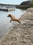 72930d2b0aed24a49bbbf2e52c519524_138x184_fill