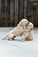 735bfeb954b573deab6de10d8935a1ab_130x194