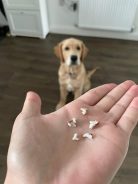 739b35687d71953e978fa34b05f0522f_138x184_fill