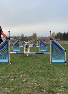 73f8bff3a230c7ded0c24967cd00a210_136x187