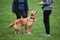 73fadadb1daa2f65673f0fbe588a54e5_194