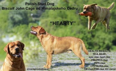 73fd717c96966aaf4d48d73520867172_382