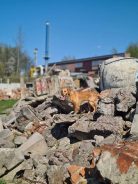 744e903a4d144405050cbcdd62625ee6_138x184_fill