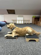 7472e89c09ce15308d40f3677838de43_138x184_fill