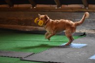 7487ef96f07d5a9248c0447df18cb088_194