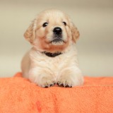 749a2f419715d66e731c7ae1b8fe4467_160x160_fill