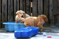 755b91e87fdfdc8b444a9e507768e9b8_194