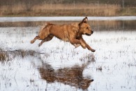 767f841cfaf7877cdf7f1c029f7acd4f_195