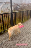 7685afaa0db00acde306fbcf5e83dae1_130x197