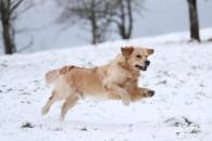 768b990d5c712e76097bfbc28c015859_195x130_fill