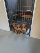 7694eef7bec311c912f9aae7d51b5f04_138x184_fill