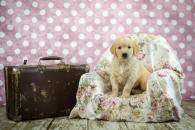 76af4b63916639d91cd95344730b72ef_195x130_fill