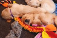 7742633e0701b92e1b0bd834b4d53d22_195x130_fill