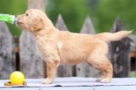 779dbf2db4b6fc1a6a11519207fbae1c_195x130_fill