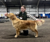 782ada6724a86d34b5e314cc987f4dd2_174