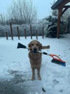 7896d9d34a333783572bc9641be7de89_138x184_fill