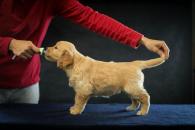 790fe8355a6b091c8bb2b785d78c89b9_195x130_fill