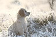 7914a5ed4e42f7c9a2189160f98f8705_194