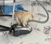 7917ac993d3df15c93a2ef43f2f08b88_171