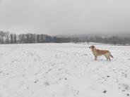 797081ba4e8aece59f2cac0247cf94d5_184x138_fill