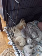 7978648295ee4856be112ebad295243a_138x184