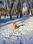 797b904564af89e98c29e8f7b6093c5a_138x184_fill