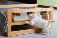 79eea7f1d260ac493092b555afd44ceb_195x130_fill