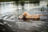 7a689b05865952c5ccc1bbd72178a565_195