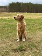 7a93a16f123bd35d601539c7d7666174_138x184_fill