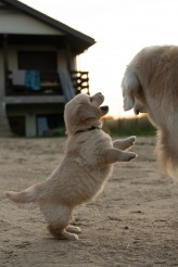 7a970e5e74304554646fc8f8d48fc7ed_164x246