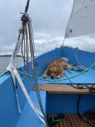 7afd77b6fe186934b8b7f71e1d03c2a1_138x184_fill