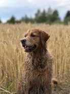 7b5d0b0fa94705e8cd0cb3e8ce3695cd_138x184_fill