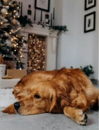 7b8100cc878d51debde2cfd27209b44f_140x183