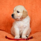 7b85cb09842dfa1607d0a74ae81d8198_160x160_fill