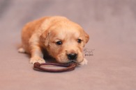 7b9d4752ebe8a771b24b66fa22539b31_195x130_fill