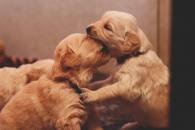 7bc24aec89b6c8b5966cbbb64179fb9b_195x130_fill