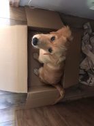 7bffa4d02a3da481c214296e8ca0105f_138x184_fill