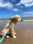 7c0b75b4a3559929f6a8a566e82b6848_138x184_fill