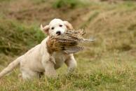 7c29bd9511676a8d276836ef067703db_194