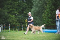 7c29fe7b85154d2aafeef2402acc7a1d_194