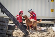 7c5c6b108ee53df96e61501de9f74066_194